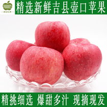 山西吉县多汁红富士苹果洛川9月现摘现发新鲜水果农产品十斤包邮