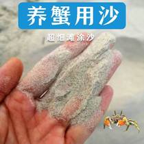 天然贝壳沙相手蟹辣椒蟹专用沙鱼缸造景寄居蟹底砂调节水质化妆沙