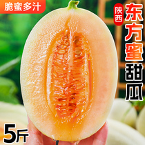 东方蜜甜瓜5斤新鲜应当季水果白玉小香瓜脆甜哈密网纹瓜3整箱包邮