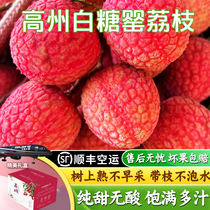 广东茂名高州白糖罂荔枝5斤应季当现摘现发新鲜水果整箱顺丰包邮