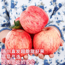 洛川苹果陕西延安红富士水果新鲜整箱脆甜多汁10枚80mm装优选中果
