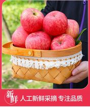 陕西洛川苹果正宗洛川富士苹果脆甜多汁产地直发整箱24个装