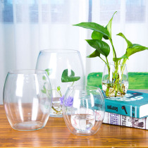 客厅大号玻璃花瓶透明绿萝水培花盆富贵竹水养植物器皿花鱼共养