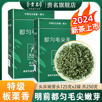 贵州绿茶特级明前都匀毛尖茶2024新茶嫩芽手工春茶浓香型茶叶250g
