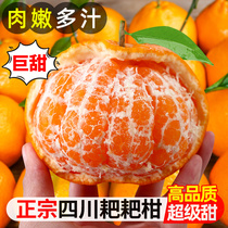 四川特级春见耙耙柑9斤新鲜粑粑柑橘子甜当季整箱水果丑柑桔包邮