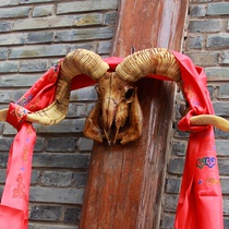 复古真羊头骨装饰品客厅店面墙面挂件动物头骨壁饰标本工艺品摆件