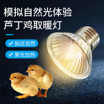 保温灯芦丁鸡冬季取暖灯泡加热灯养殖场专用育雏温控器小鸡加温灯