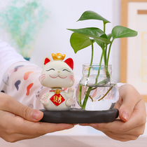 创意花瓶招财猫客厅插花装饰品透明玻璃器皿水养植物绿萝水培花器