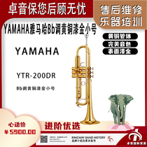 YAMAHA雅马哈YTR-200DRBb调黄铜漆金小号