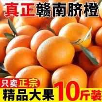 江西赣南新鲜脐橙10斤整箱水果应当季赣州果冻橙子手剥冰糖甜橙香