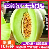 超甜糯上海南汇玉菇甜瓜10斤新鲜水果当季冰淇淋蜜瓜香瓜青皮绿肉