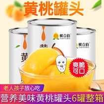 黄桃罐头425g整箱6罐装新鲜糖水水果罐头砀山特产烘培专用桃罐头