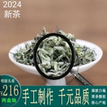 2024贵州都匀毛尖绿茶明前礼盒春茶高山云雾特级炒青散装茶芽250g