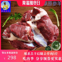 生羊肉新鲜现杀5斤内蒙古鄂尔多斯羊腿纯肉肥羊季吃水饺烧烤孜然