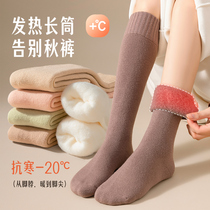 羊毛小腿袜女秋冬加绒加厚长筒保暖羊绒超厚冬季月子白色高筒长袜