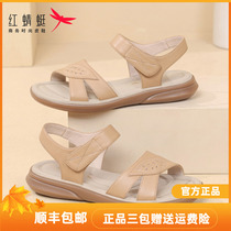 红蜻蜓妈妈凉鞋2024夏季新款厚底中老年女鞋一字带舒适一脚蹬鞋子