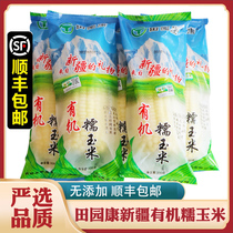 田园康新疆有机糯玉米10根散装速冻苞米棒来自新疆的礼物包邮