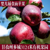 甘孜州乡城高原有机花牛红星苹果软糯婴儿辅食刮泥老人面苹果10斤