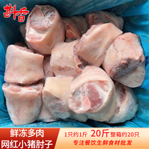 新鲜冷冻多肉网红小猪肘子20斤整箱商用猪肘子圈小蹄髈生鲜食材
