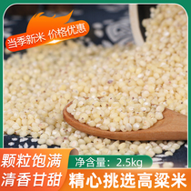 东北白高粱米新米特产2.5kg2023年五谷杂粮辽宁黑山粗粮米高粮米