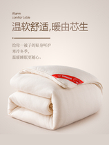 棉絮棉被子秋冬天棉花被芯棉胎内胆冬季床褥垫絮垫被铺底加厚保暖