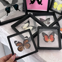 标本盒蝴蝶标本展示框制作套装书签昆虫亚克力中空相框立体礼物