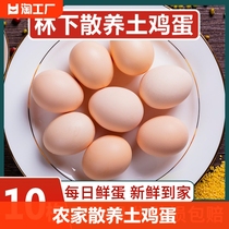 农家散养土鸡蛋10枚新鲜初生蛋谷物蛋农村柴鸡蛋笨鸡蛋40g/枚