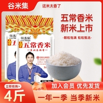 谷米集五常香米3斤东北大米10斤黑龙江2023年新米长粒香真空一级