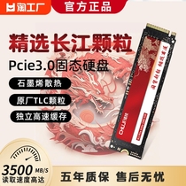储技 笔记本固态硬盘M2长江联想华硕专用电脑pcie3.0高速扩展存储
