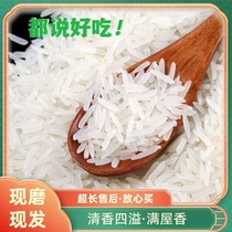 限时福利20斤当季新米长粒香米南方原生态长粒米大米一级