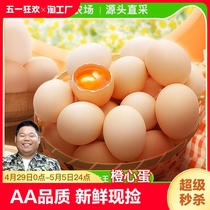 橙心鸡蛋】安徽皖南橙心土鸡蛋30/40枚 AA级品质现捡现发农家散养