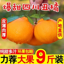 【爆甜】现摘四川丑橘不知火当季新鲜水果耙耙柑丑桔子蜜橘子10斤