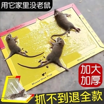 粘鼠板强力粘鼠标老鼠贴新款家用强力胶抓杀大老鼠老鼠板老鼠粘