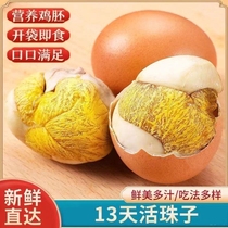【新鲜13天】40枚活珠子鸡胚蛋开袋即食原味香辣五香熟毛鸡蛋包邮