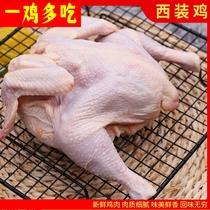 西装鸡18只童子鸡商用炸鸡脆皮去头烤鸡全鸡冻西装鸡白条鸡三黄鸡
