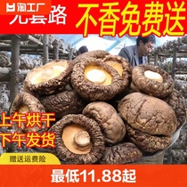 优质香菇干货500g净重冬菇厚肉干煲汤食材菌菇农家蘑菇香菇干家用
