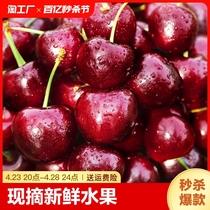 【现货不预售】大连大樱桃5斤大果国产车厘子当季新鲜水果美早