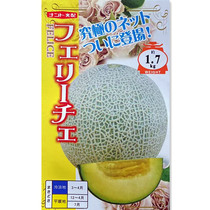 日本进口翡翠网纹甜瓜种子春秋四季阳台盆栽羊角蜜香甜西瓜种籽苗