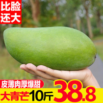 大青芒果9斤新鲜应当季新鲜水果包邮整箱10青皮特大芒果孕妇水果