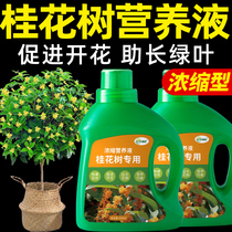 桂花树营养液桂花肥料专用肥花肥植物家用盆栽花卉绿植用四季通用