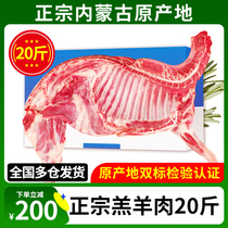 羊肉新鲜现年货杀内蒙古纯羊肉锡林郭勒羊排组合装半只羊羊腿10斤