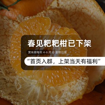 明年再约 春见粑粑柑橘子爆汁正宗四川眉山应季现摘新鲜水果礼盒