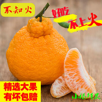 正宗四川不知火丑橘新鲜水果当季丑八怪丑柑丑桔整箱10斤