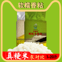 粳米晚稻单季香米江苏南梗46软糯油粘寿司珍珠圆粒1-20斤新鲜大米