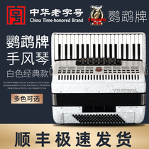 鹦鹉 YINGWU 手风琴60/96/120贝斯三四排簧手风琴 初学考级演奏