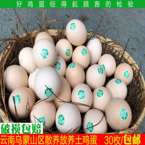 云南会泽大海草山原始山林生态放养散养正宗土鸡蛋柴鸡蛋30枚包邮