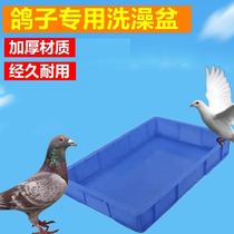 鸽子洗澡盆鸽具澡盆塑料箱赛鸽巢箱专用浴盆大号加厚信鸽用品用具