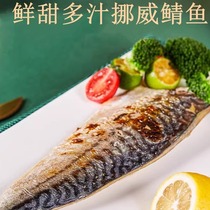 日式料理新鲜青花鱼片条马鲛鱼鲐鲅鱼片盐烤挪威鲭鱼预制菜半成品
