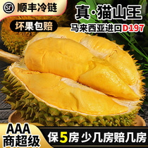 马来西亚猫山王榴莲正品D197液氮进口冷冻顺丰包邮新鲜水果一整个