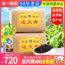 凤凰单枞茶 通天香 香气好 传统纸包单丛茶 乌岽单丛 茶叶500g